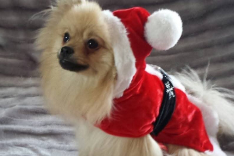 und ein gesundes und erfolgreiches neues Jahr 2026