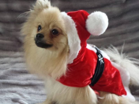 und ein gesundes und erfolgreiches neues Jahr 2026